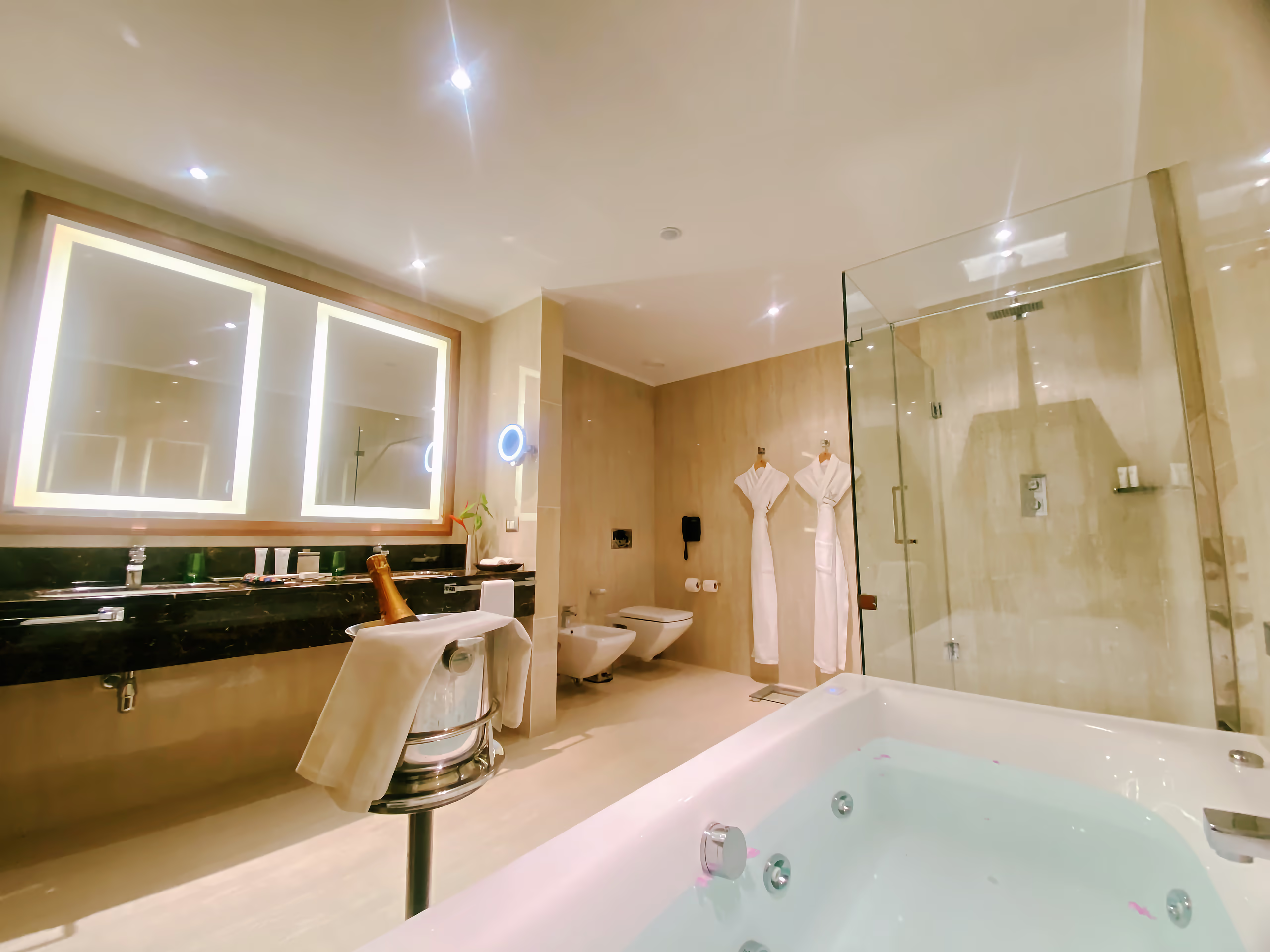 Rooms — Guinea Suite — Bathroom