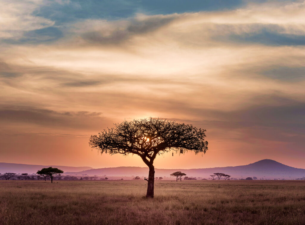 Ultimate Retreat Haven — Wellness In Every Breath