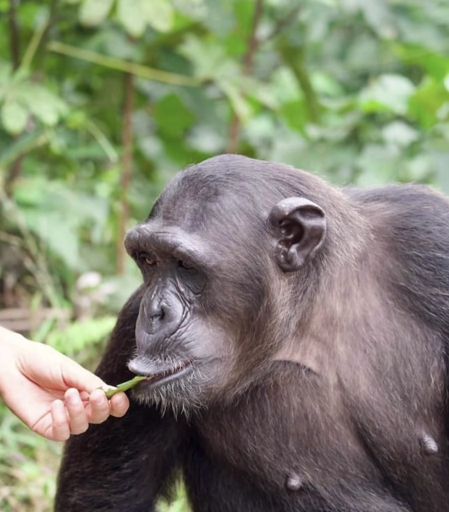 Unique Experiences Await